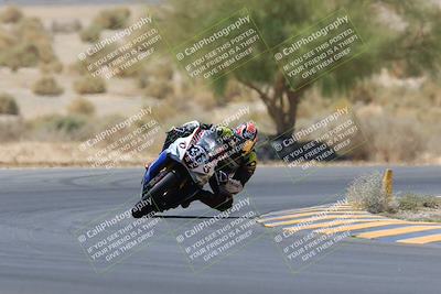 media/May-14-2023-SoCal Trackdays (Sun) [[024eb53b40]]/Turn 5 Tree of Life (1125am)/